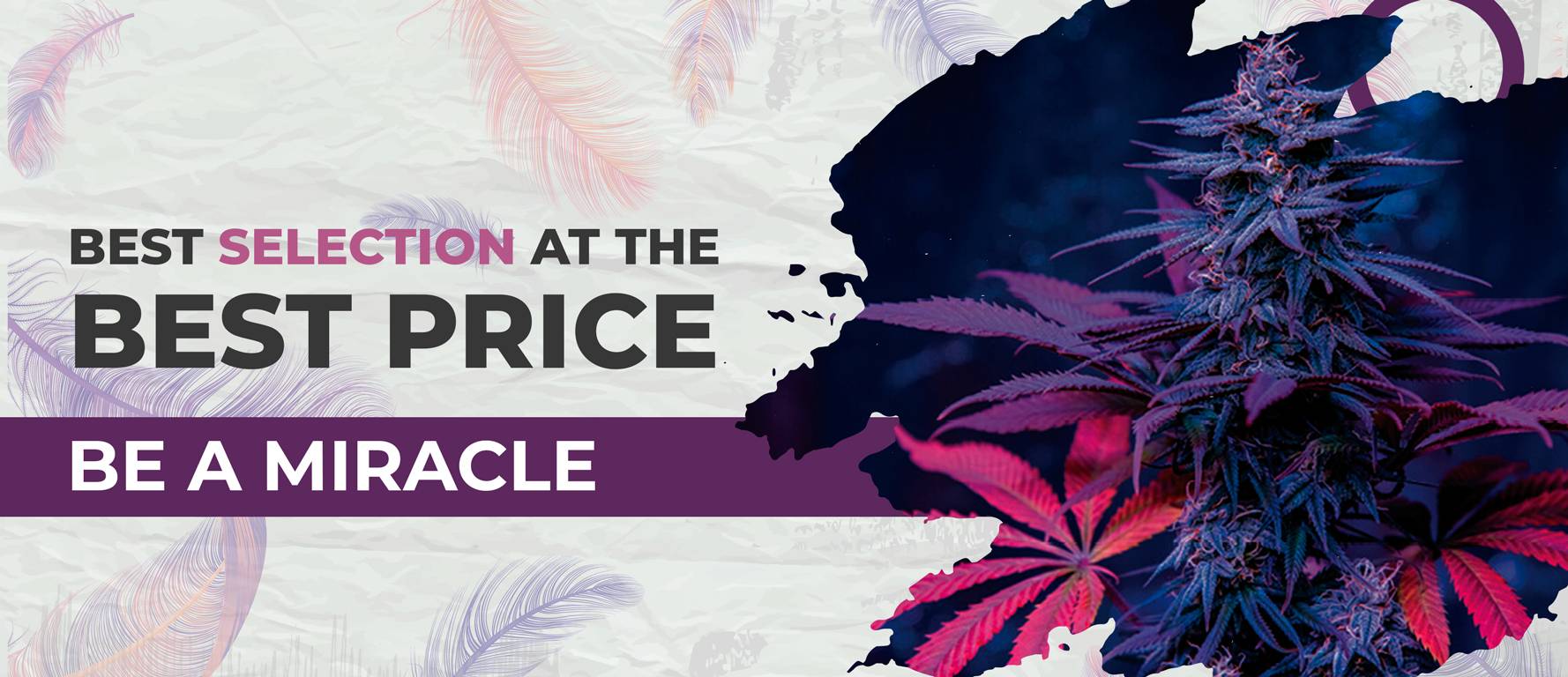 Mystics Cannabis promotional slide