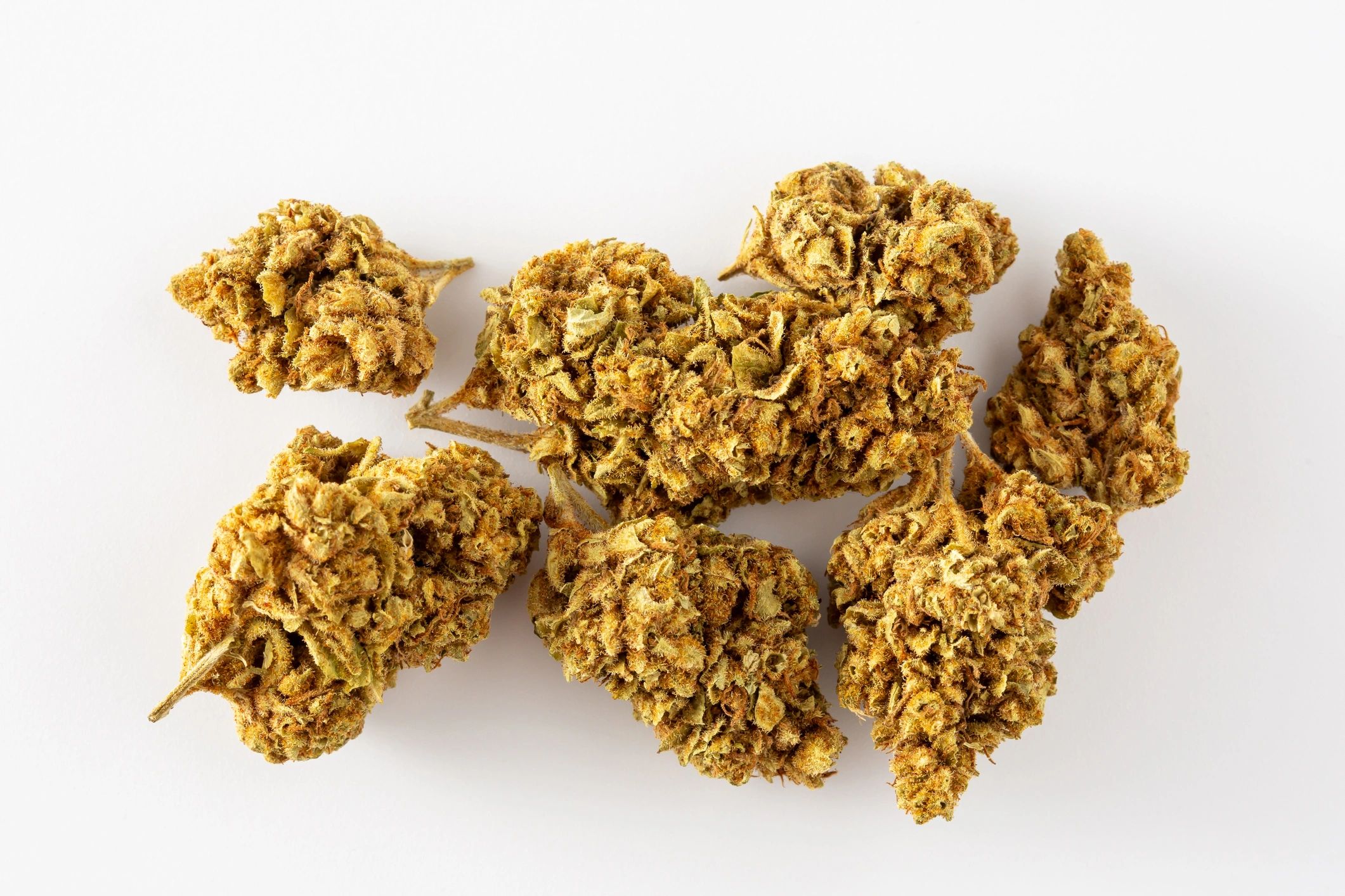 Close-up of dried herbal flower texture